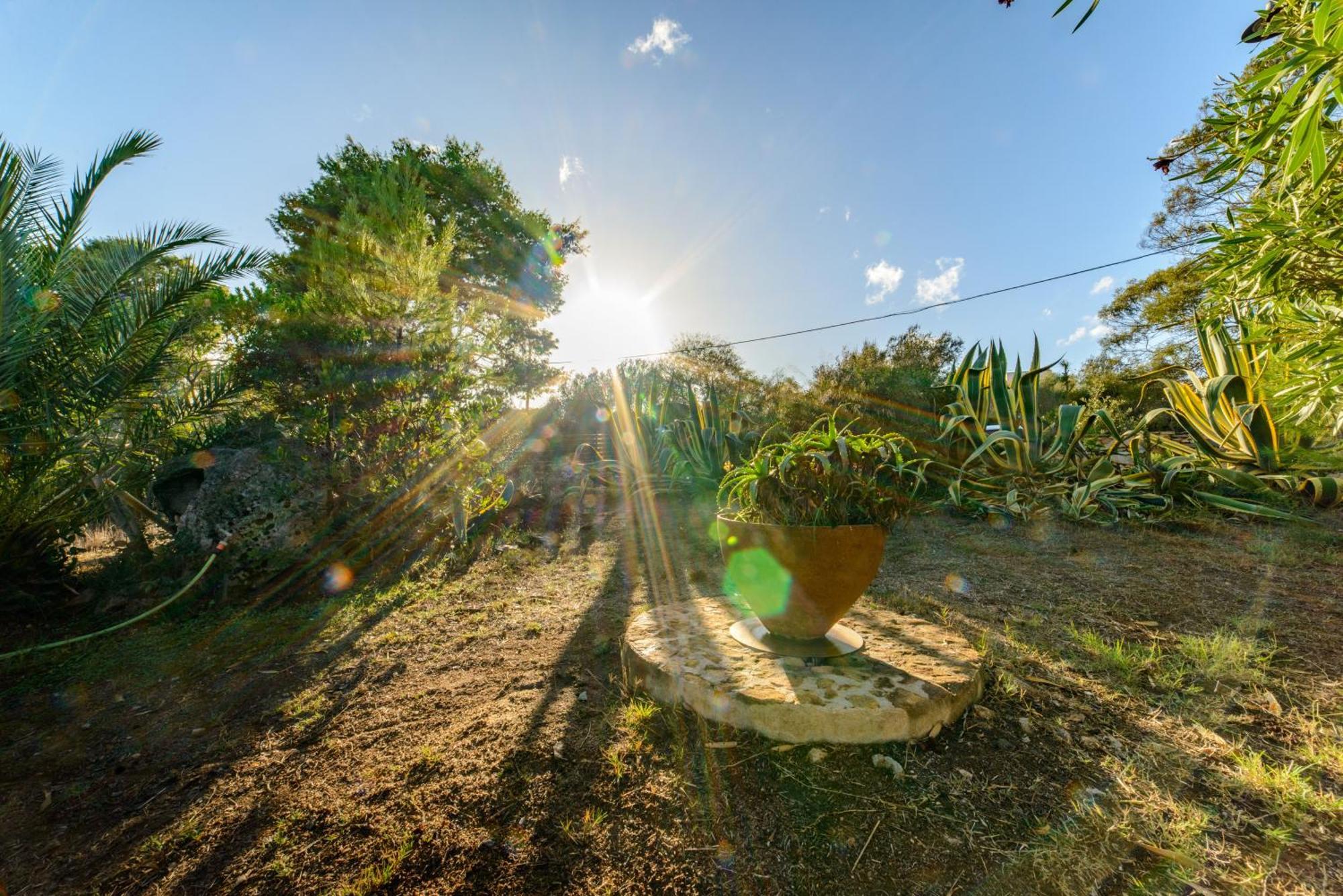 Maravilla Casa Vacanze Olbia Exteriér fotografie