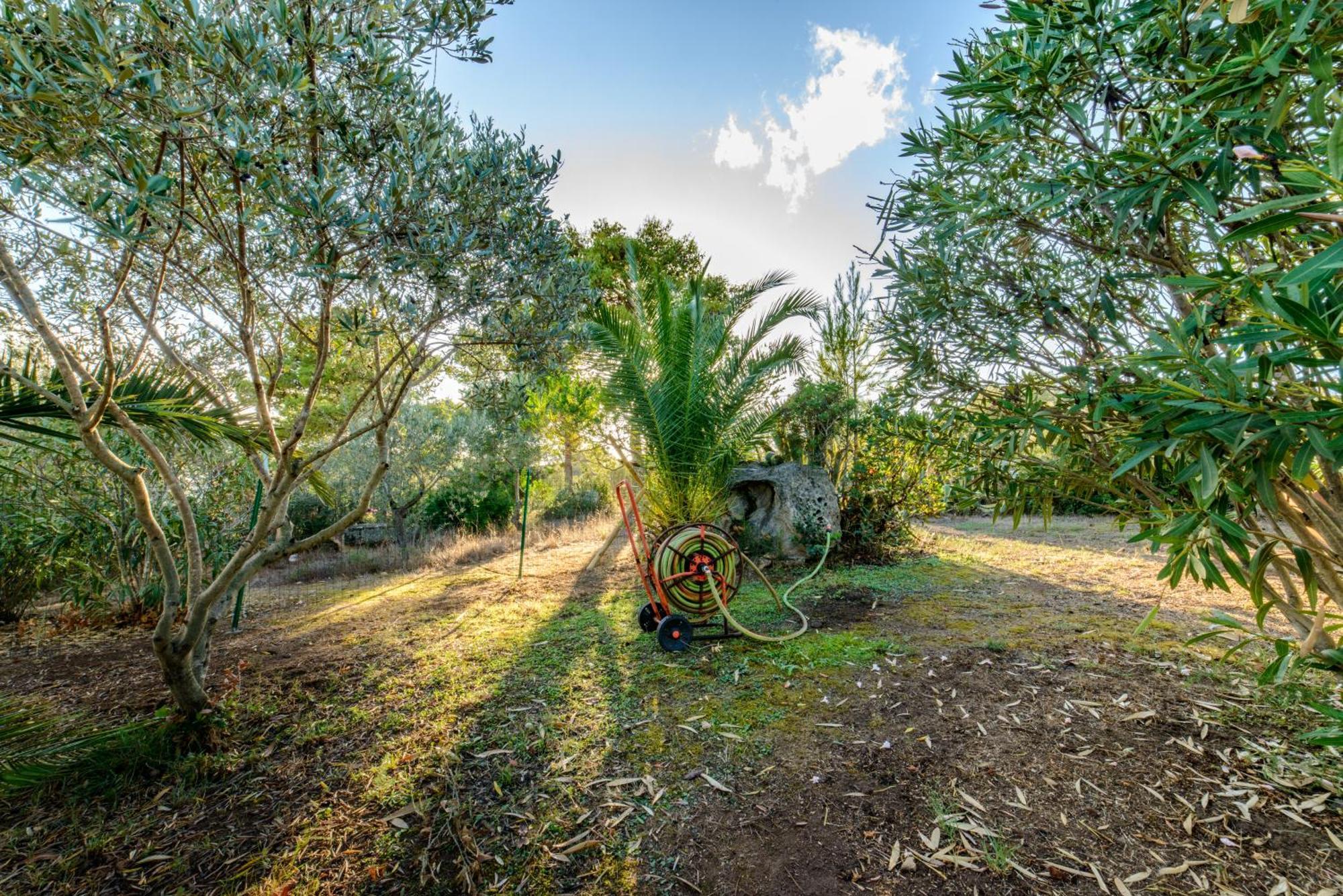 Maravilla Casa Vacanze Olbia Exteriér fotografie